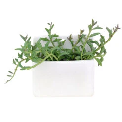 Rectangle Hanging Planter