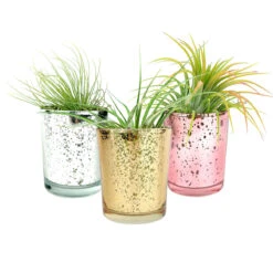 3 Pack Mini Sparkly Pots For Air Plant