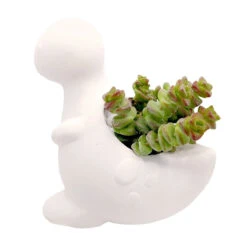 T-rex Planter