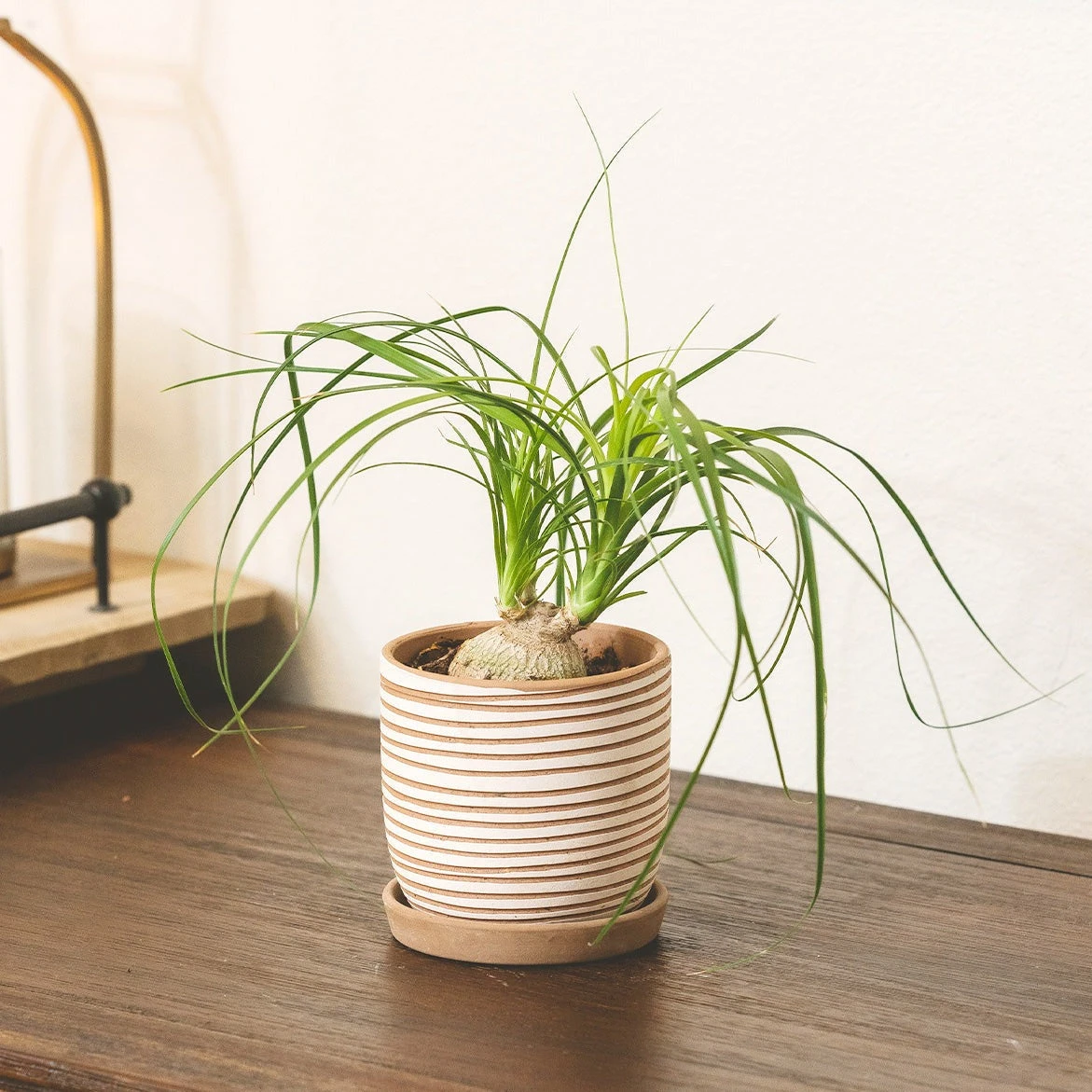 Clay White Stripes Pattern Pot - Image 8