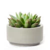 7 Inch Smooth Gray Fiberstone Ceramic Pot