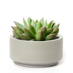 7 Inch Smooth Gray Fiberstone Ceramic Pot