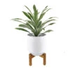 9.8 Inch White Ceramic Pot With Wooden Stand
