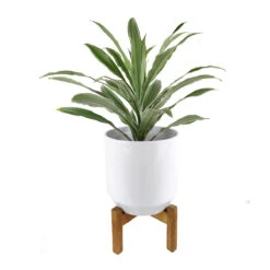 9.8 Inch White Ceramic Pot With Wooden Stand