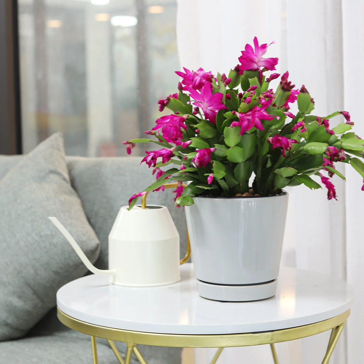 4 Inch Gray Minimalist Pot With Saucer - Image 8