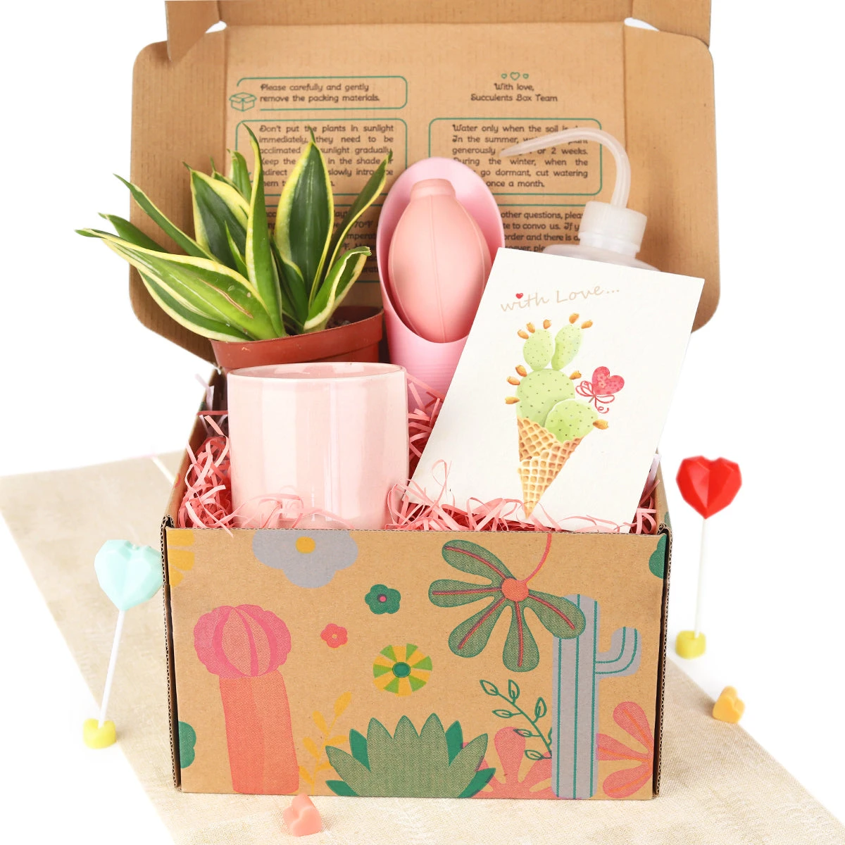 Houseplant Beginner Kit Gift Box