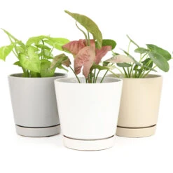 Pack Of 3 X 6" Minimalist Pots With Saucer (White, Gray And Oatmeal)