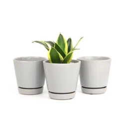 Pack Of 3 Gray Minimalist Ceramic Pots