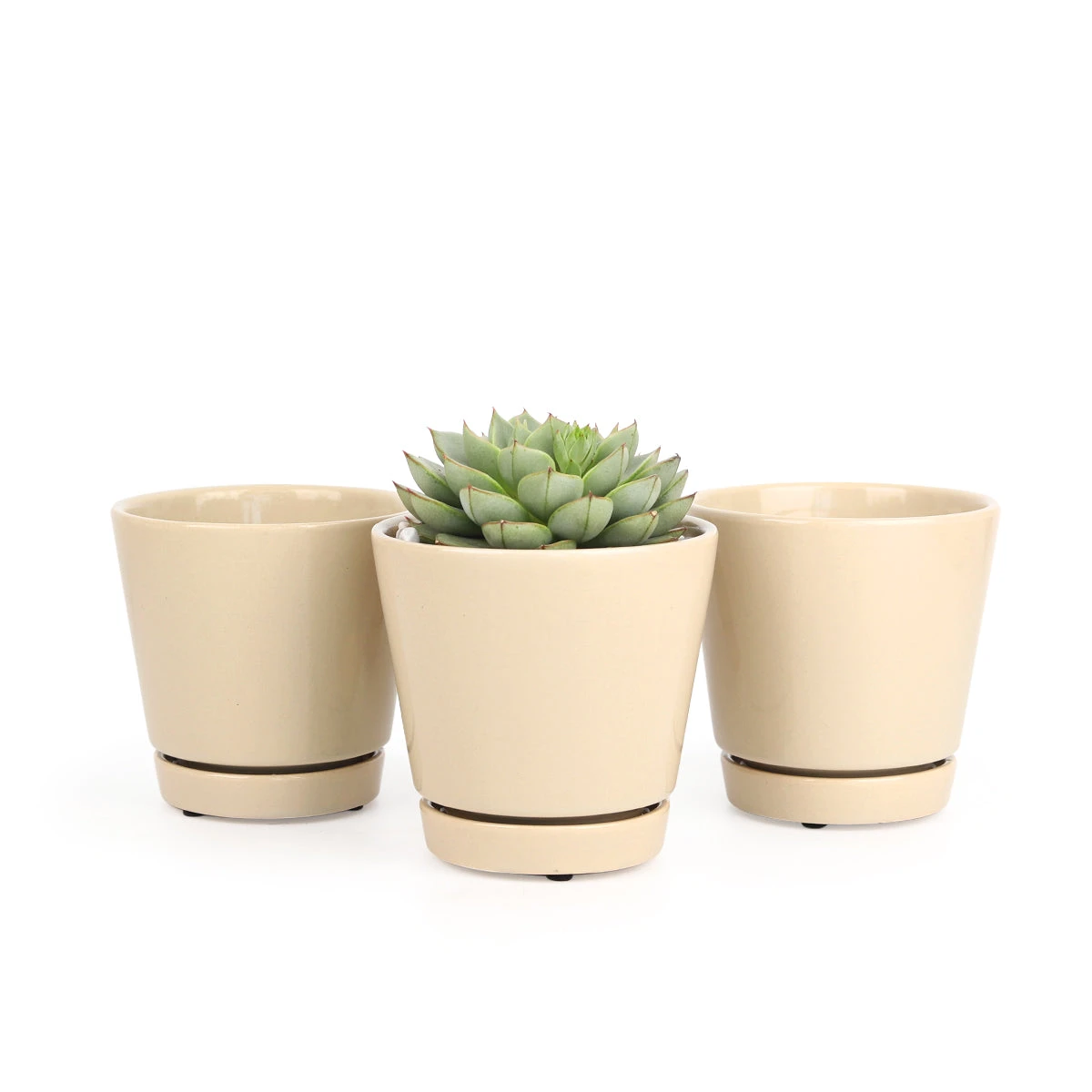 Pack Of 3 Oatmeal Minimalist Ceramic Pots