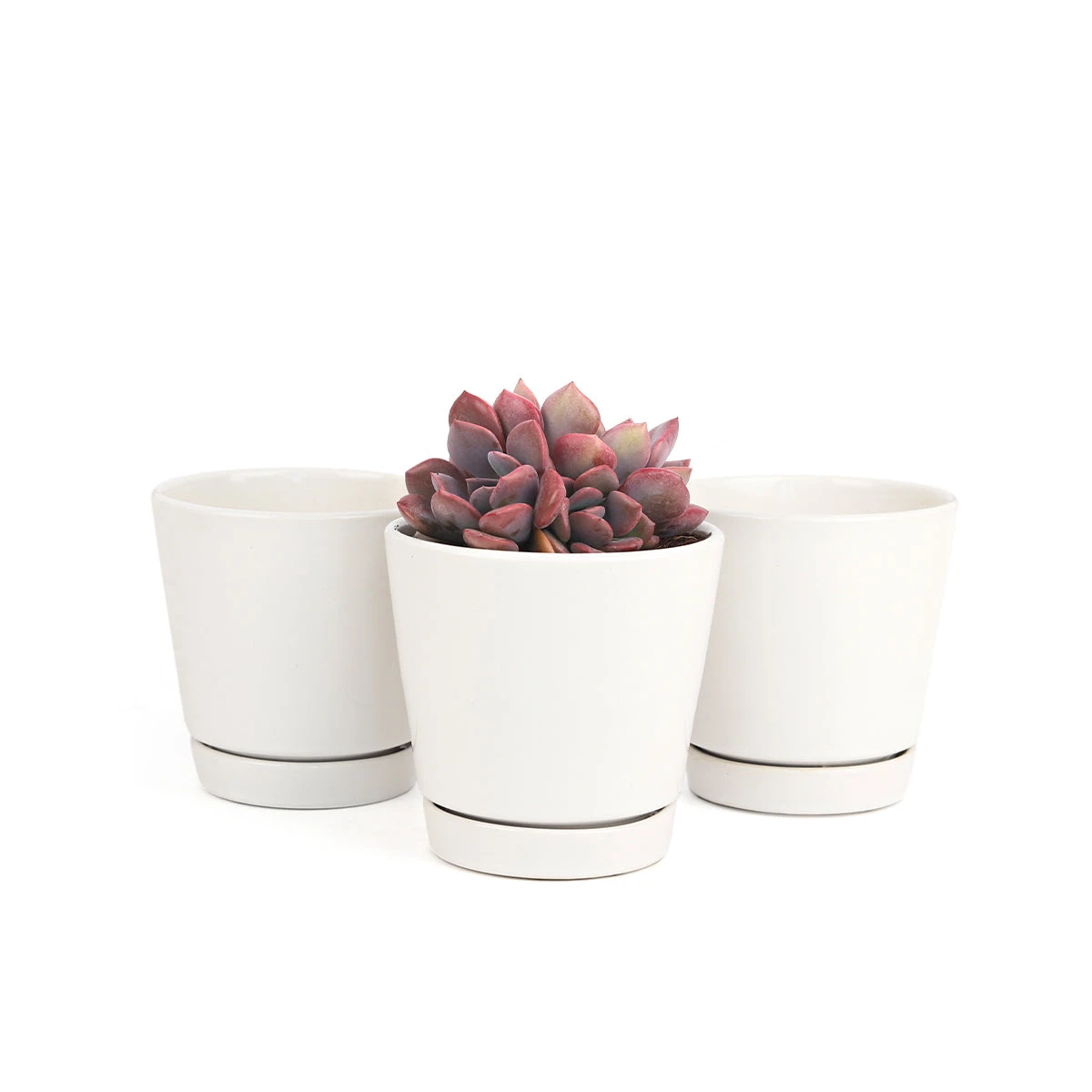 Pack Of 3 White Minimalist Ceramic Pots