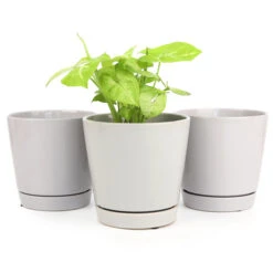 Pack Of 3 X 6" Gray Minimalist Pots With Saucer