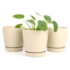 Pack Of 3 X 6" Oatmeal Minimalist Pots With Saucer