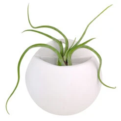 Round Hanging Planter