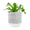 6 Inch Reed Grey Round Cement Planter