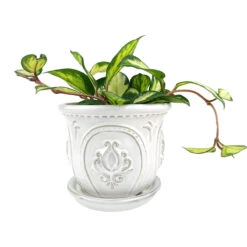 6 Inch White Classical Ornate Ceramic Planter