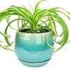 6 Inch Aqua Blue Geo Ceramic Planter & Attached Saucer