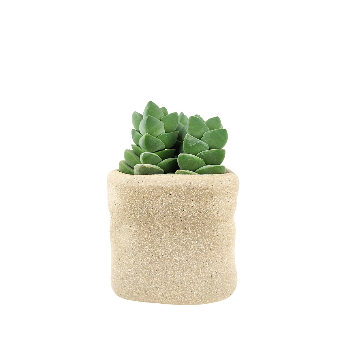 4 Inch Beige Satchel Ceramic Plant Pot - Image 4