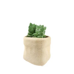 4 Inch Beige Satchel Ceramic Plant Pot