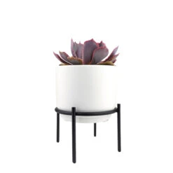 4 Inch Solid White Ceramic Planter With Metal Stand