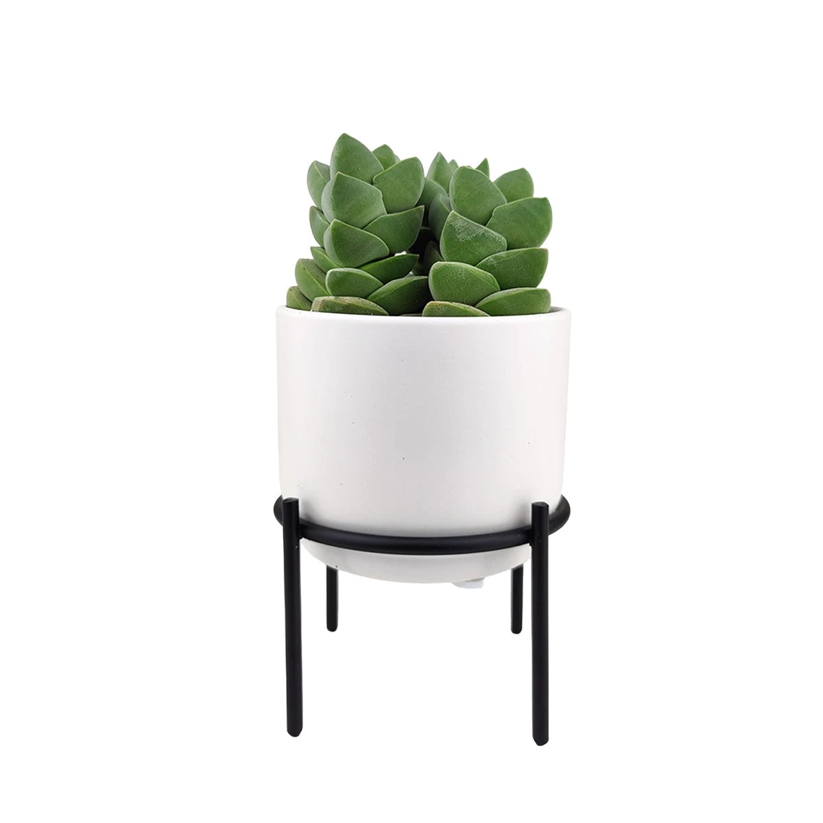 4 Inch Solid White Ceramic Planter With Metal Stand - Image 7