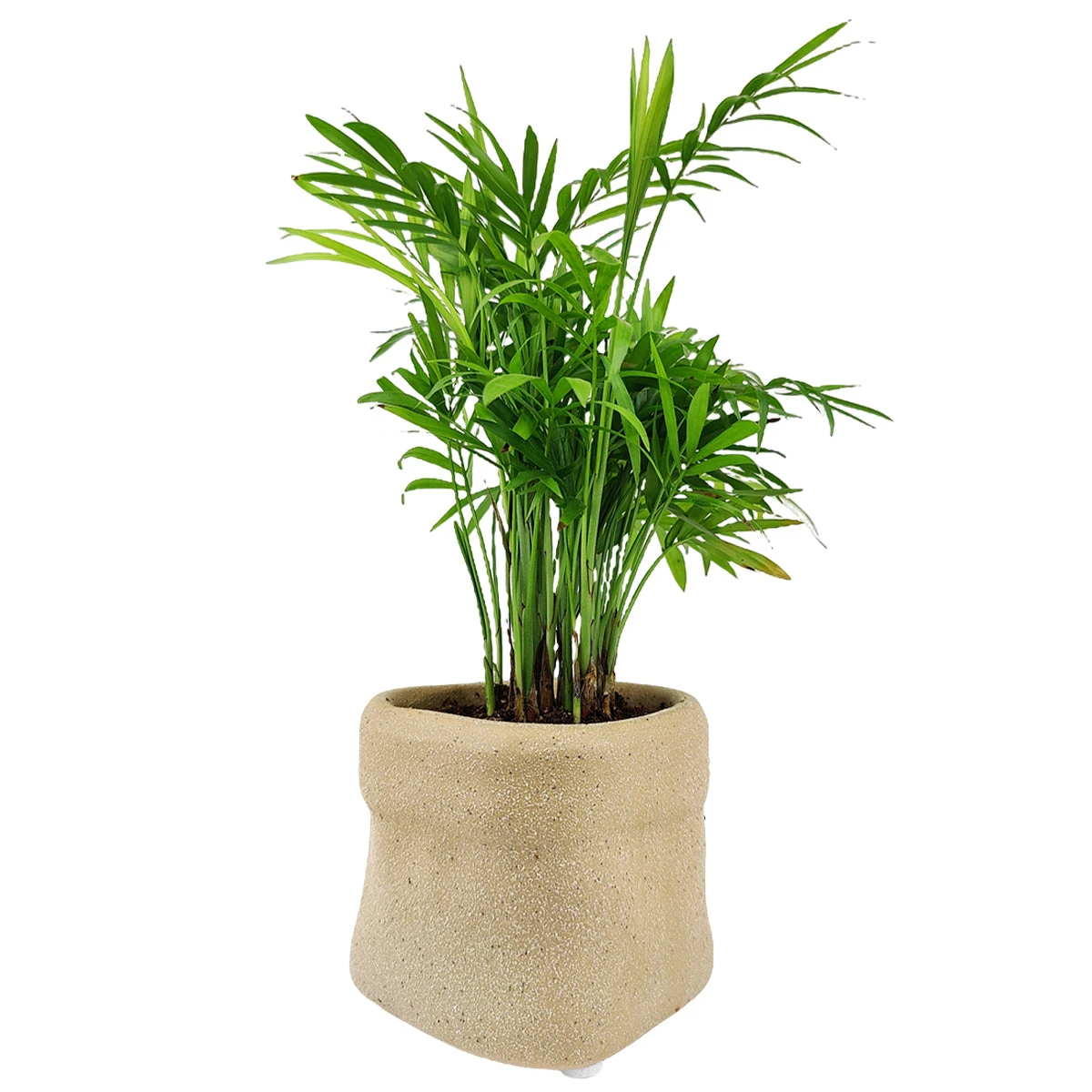 4 Inch Beige Satchel Ceramic Plant Pot - Image 2