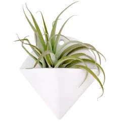 Triangle Hanging Planter